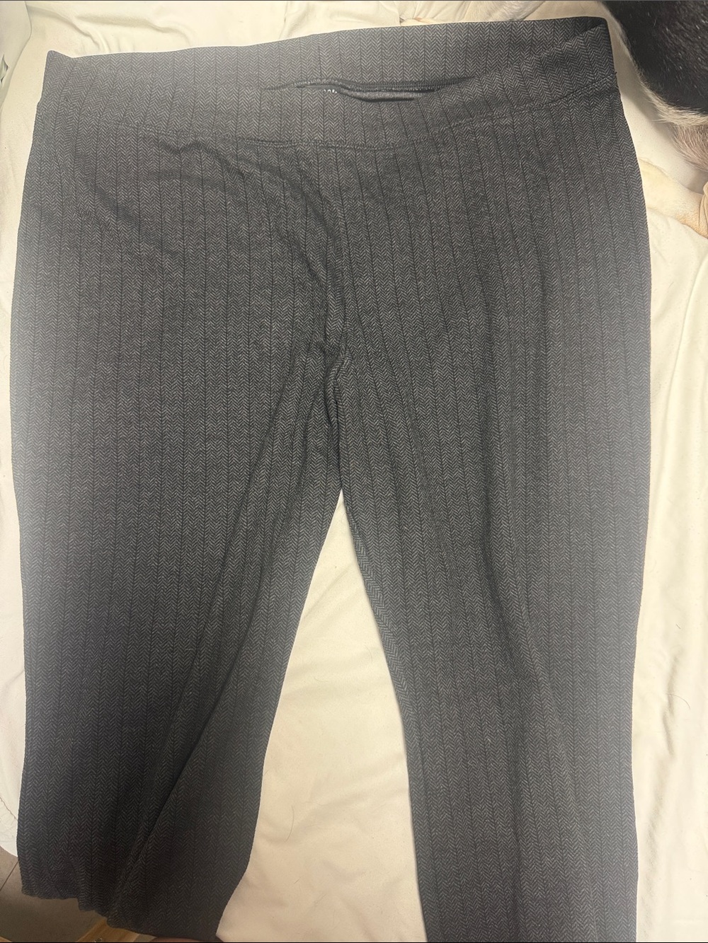 George Black Herringbone Knit Pants